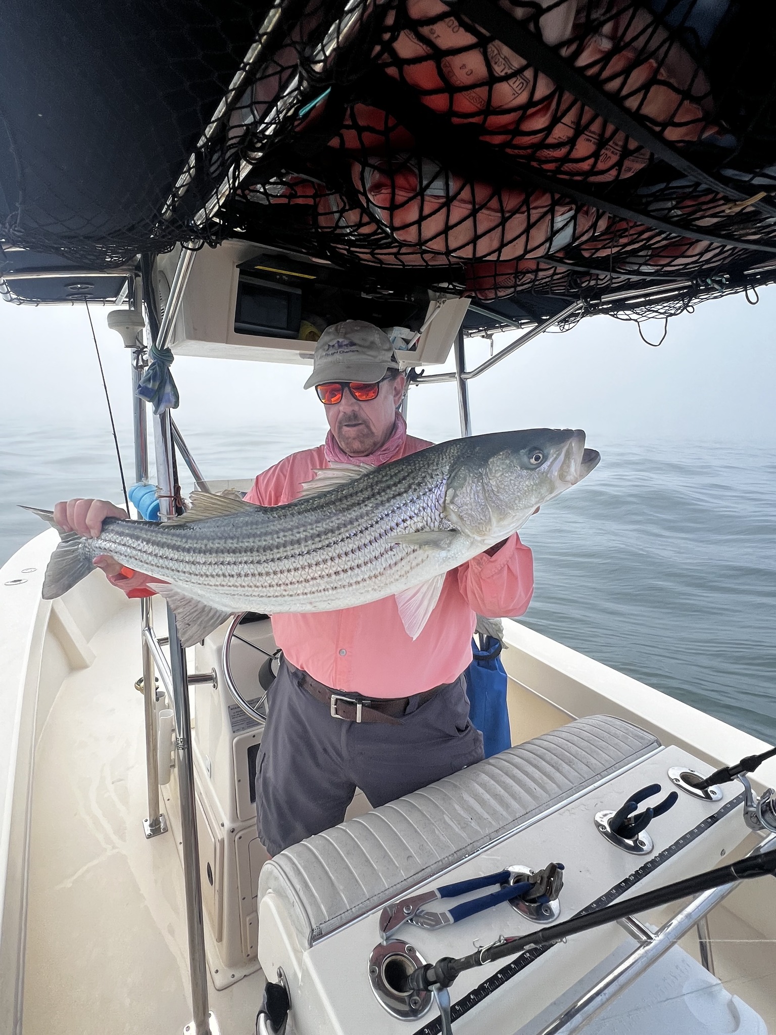 Striped bass caught by angler in New London