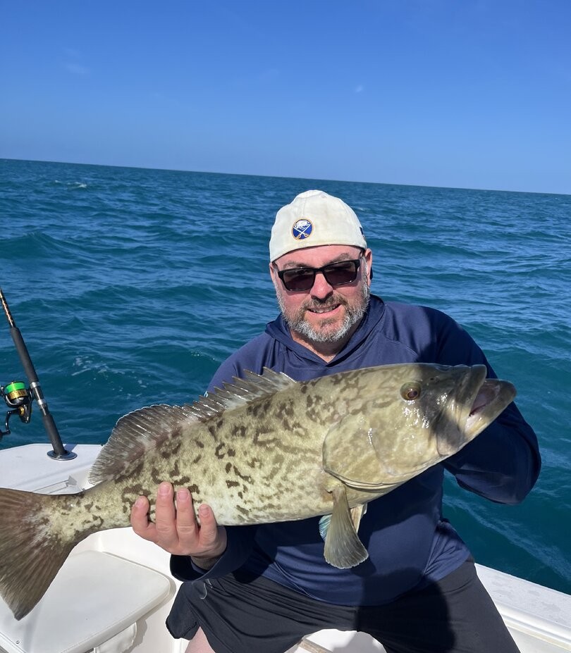 Gag grouper caught while fishing in Madeira Beach FL