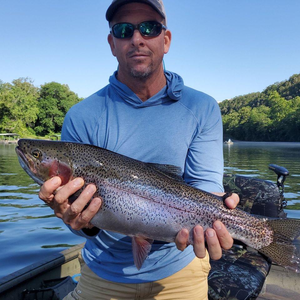 Image of a rainbow trout caught while fishing in Branson