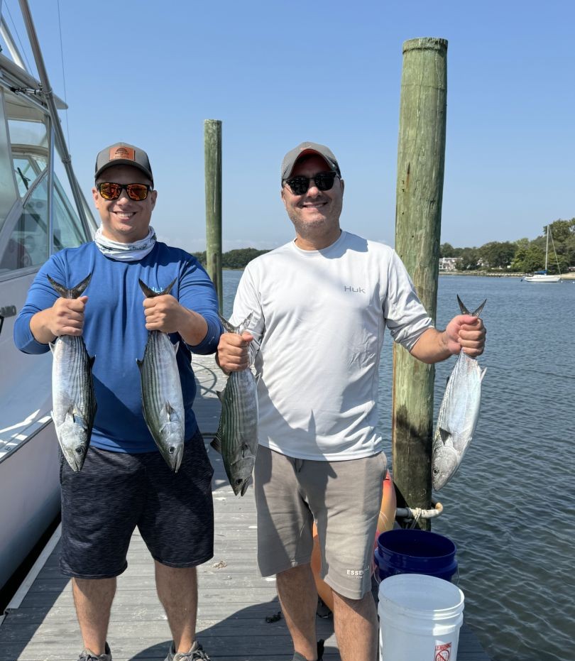 Atlantic bonito fishing catch displayed at Neptune City NJ marina dock