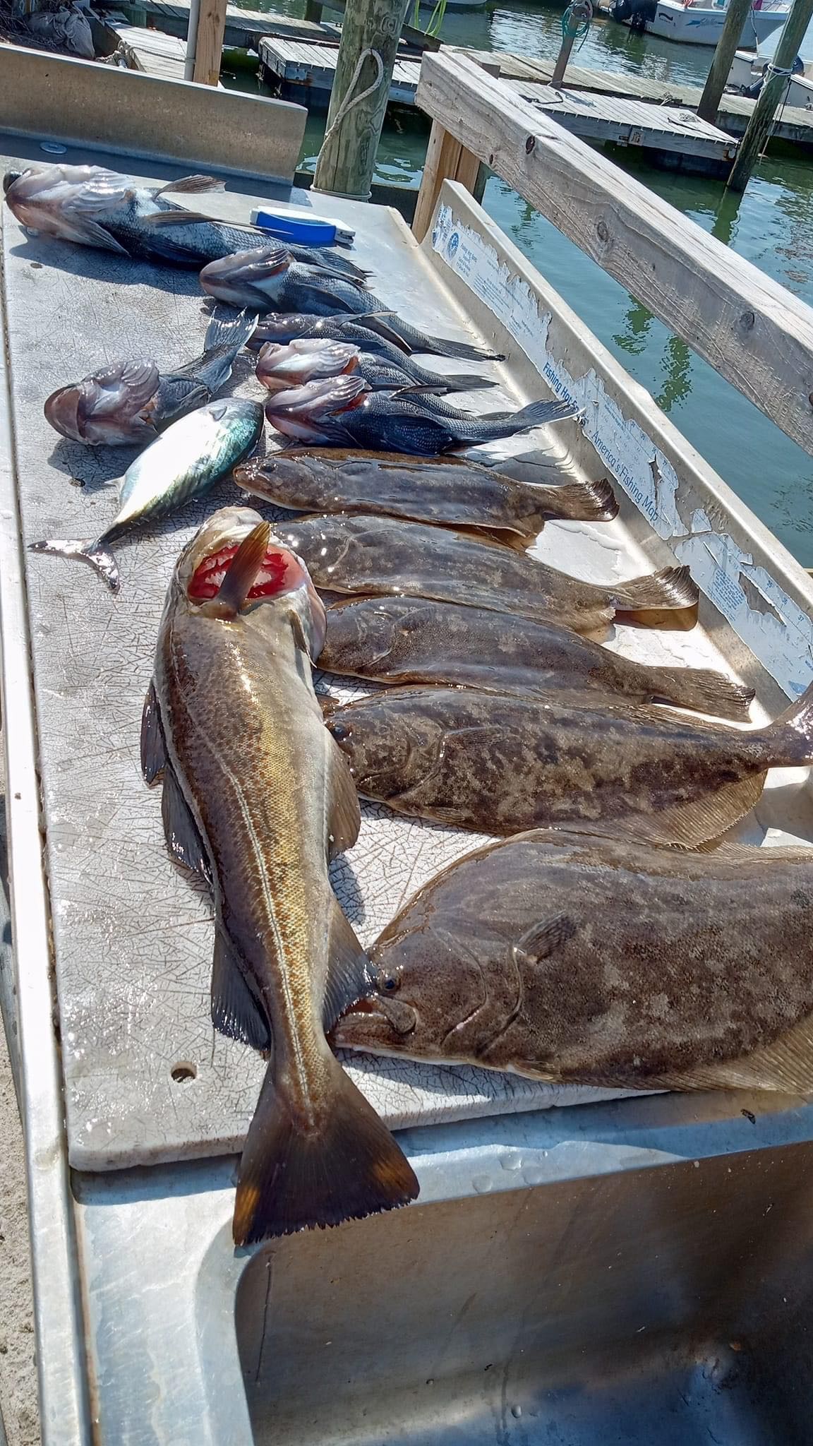 Bottom Fishing in New Jersey