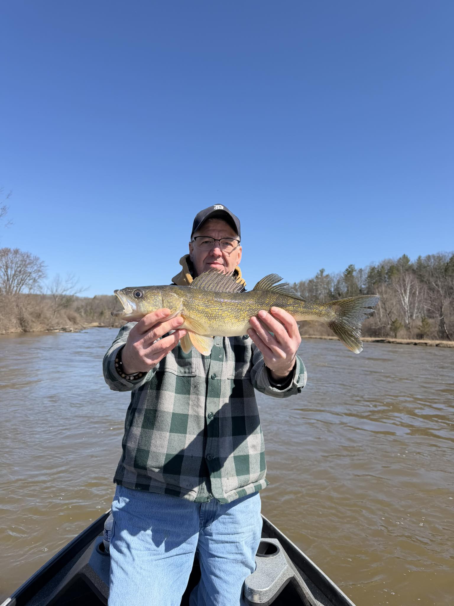 Walleye caught while fishing in Brethren MI displayed over muddy river water
