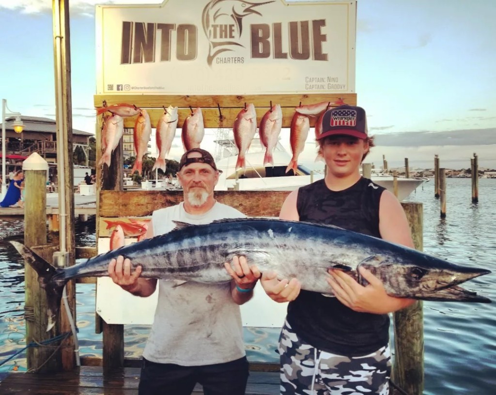 6 large fish caught in Destin while fishing