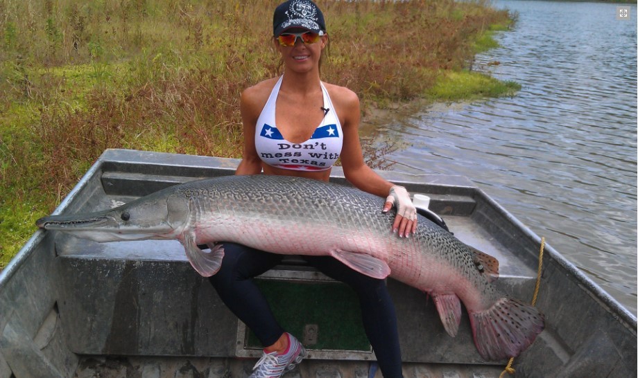 A large alligator gar fish caught in Trinity