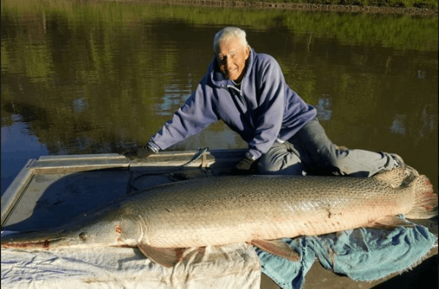 Longnose gar fish caught in TX