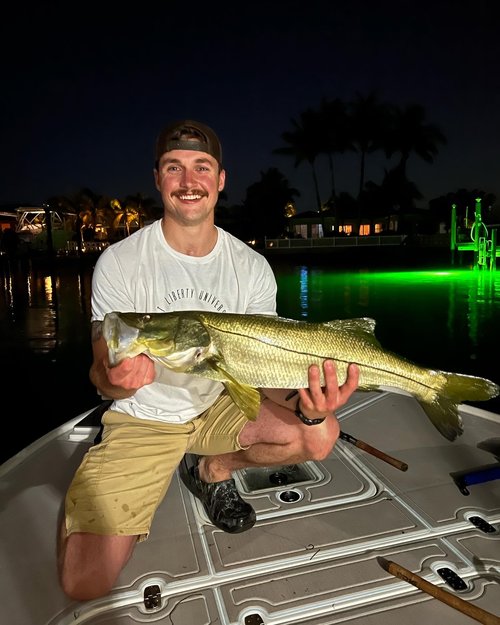 Snook fish caught while fishing in FL