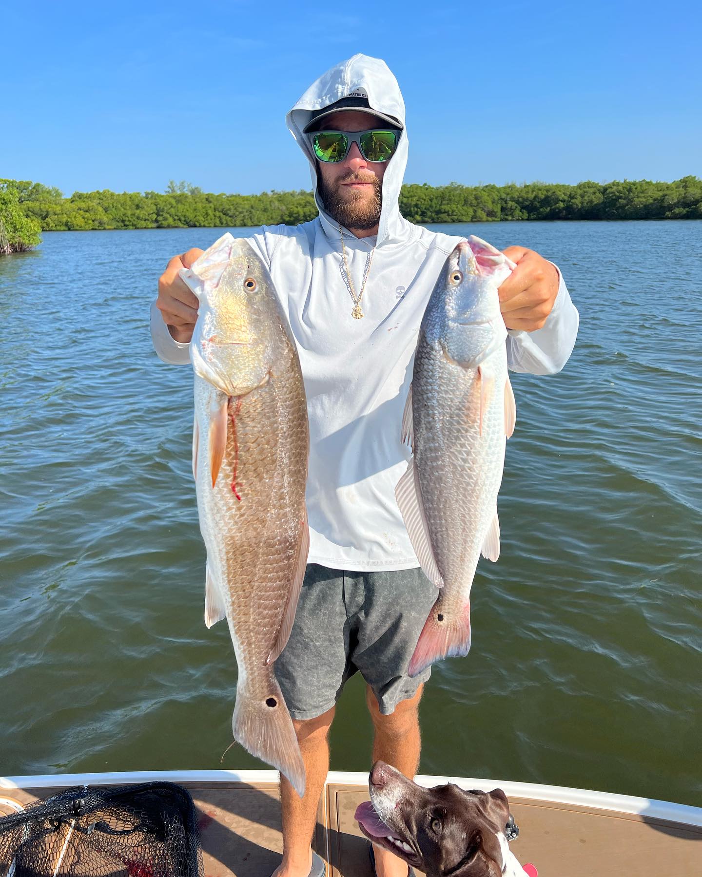 Two redfish, 31 inches long, caught in Saint Petersburg