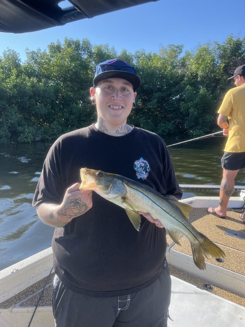 Photograph of a 17-inch snook caught while fishing in Saint Petersburg