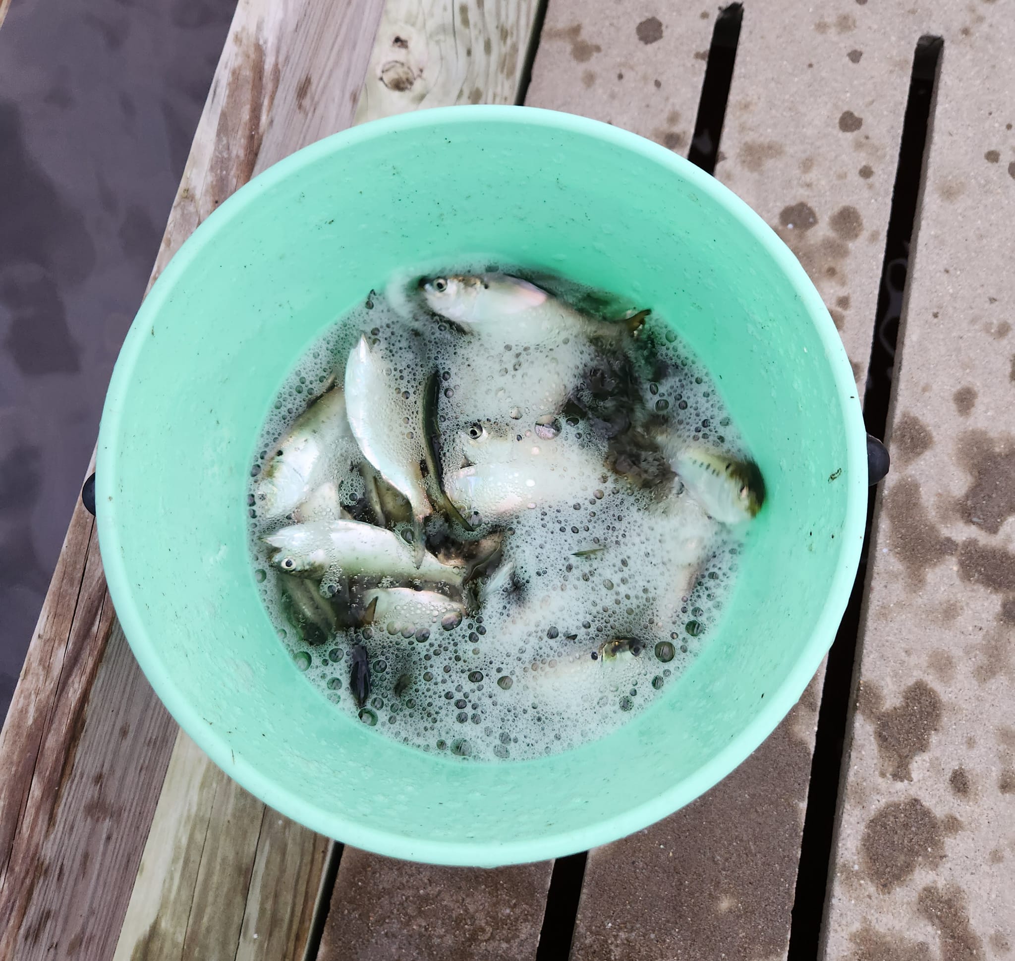 Fishing at the beautiful Stella location