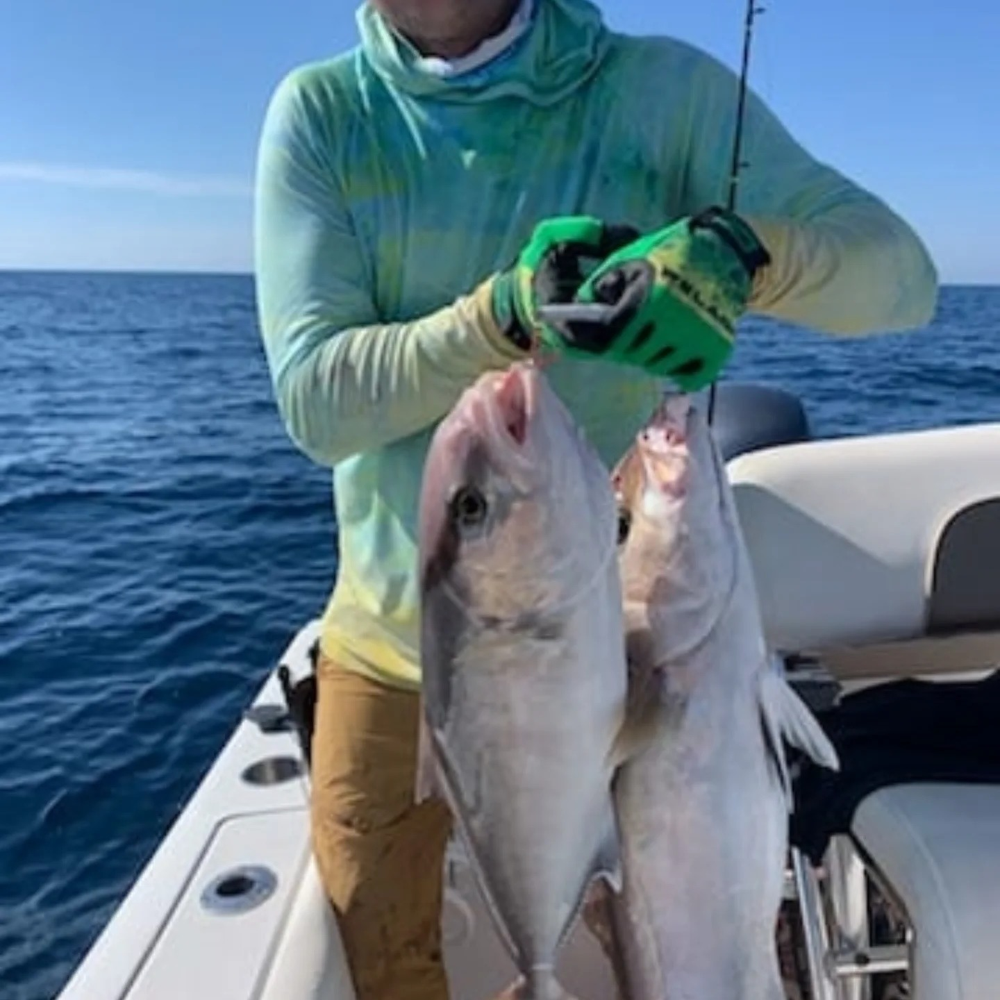 2 hardhead sea catfish caught fishing in FL