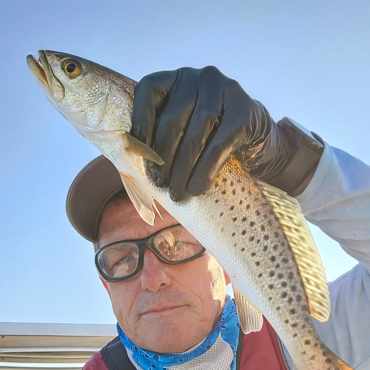 Spotted weakfish caught fishing in FL