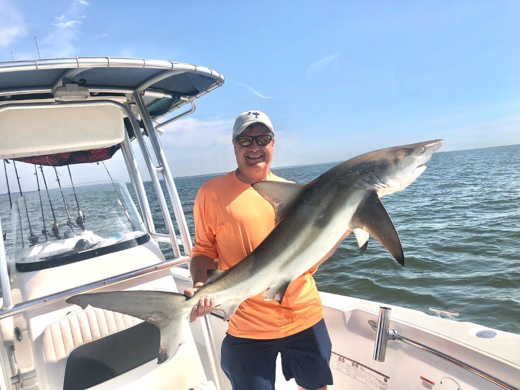 Blacktip shark measuring 43 inches caught at Hilton Head Island