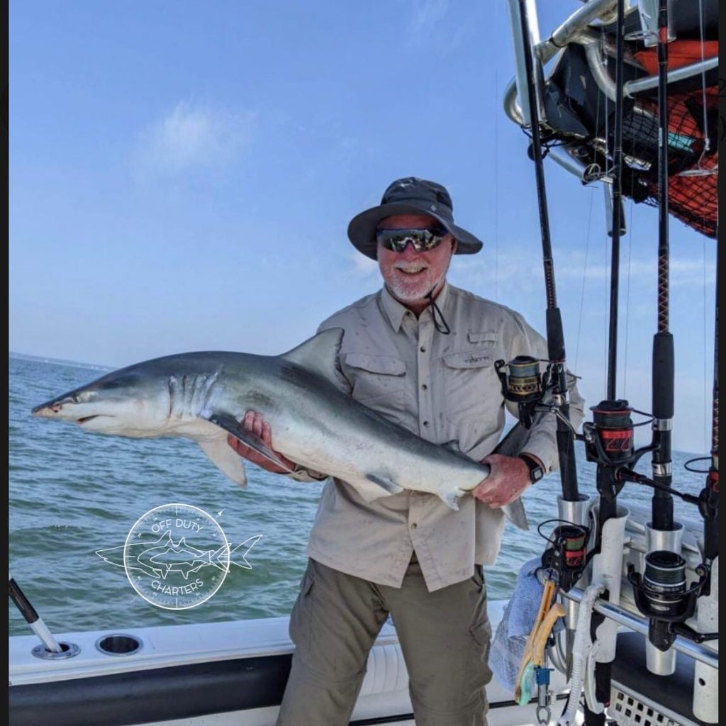 A large bull shark caught in SC