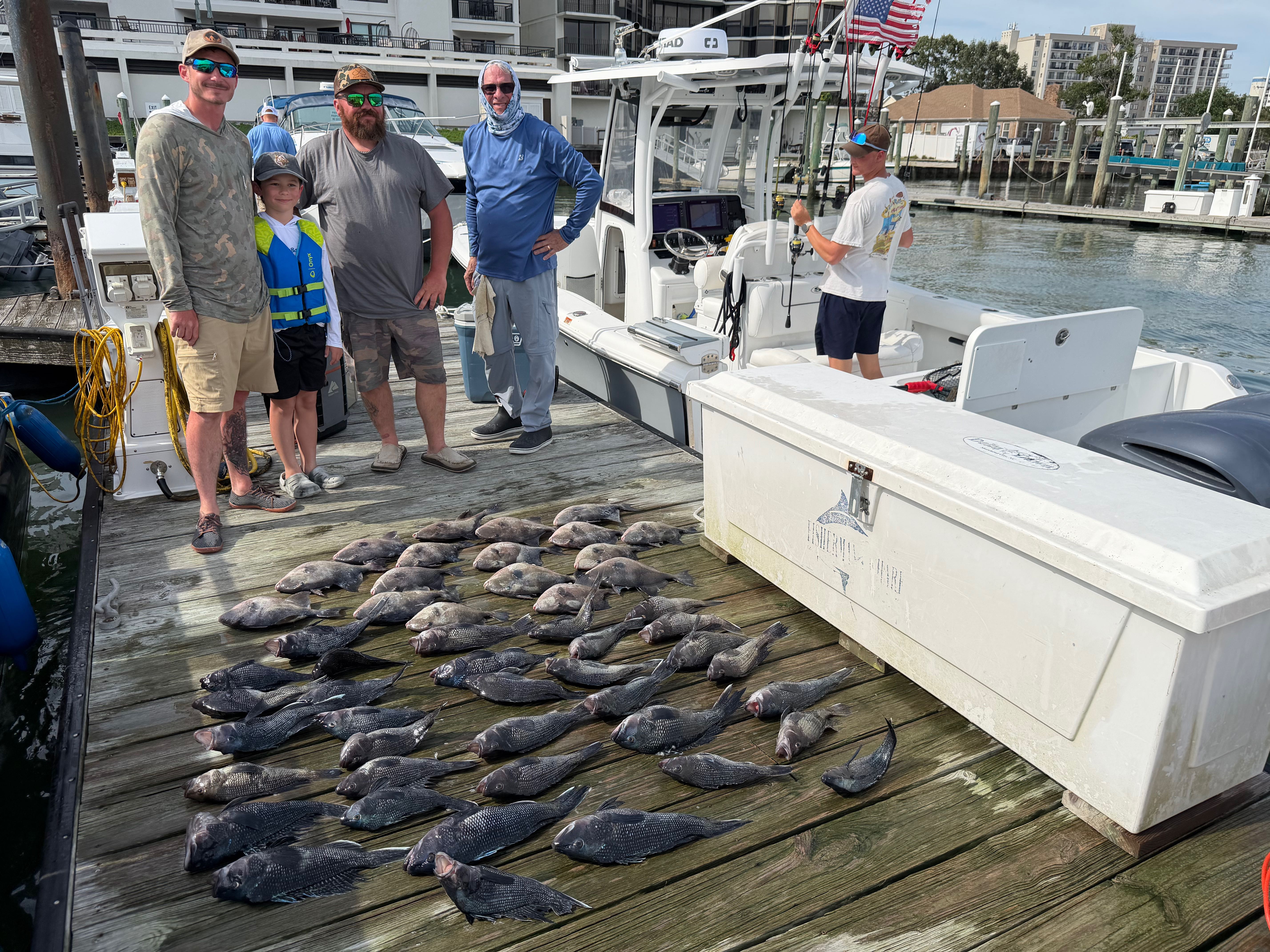 Large catch of black sea bass displayed on fishing charter boat dock in Virginia Beach VA