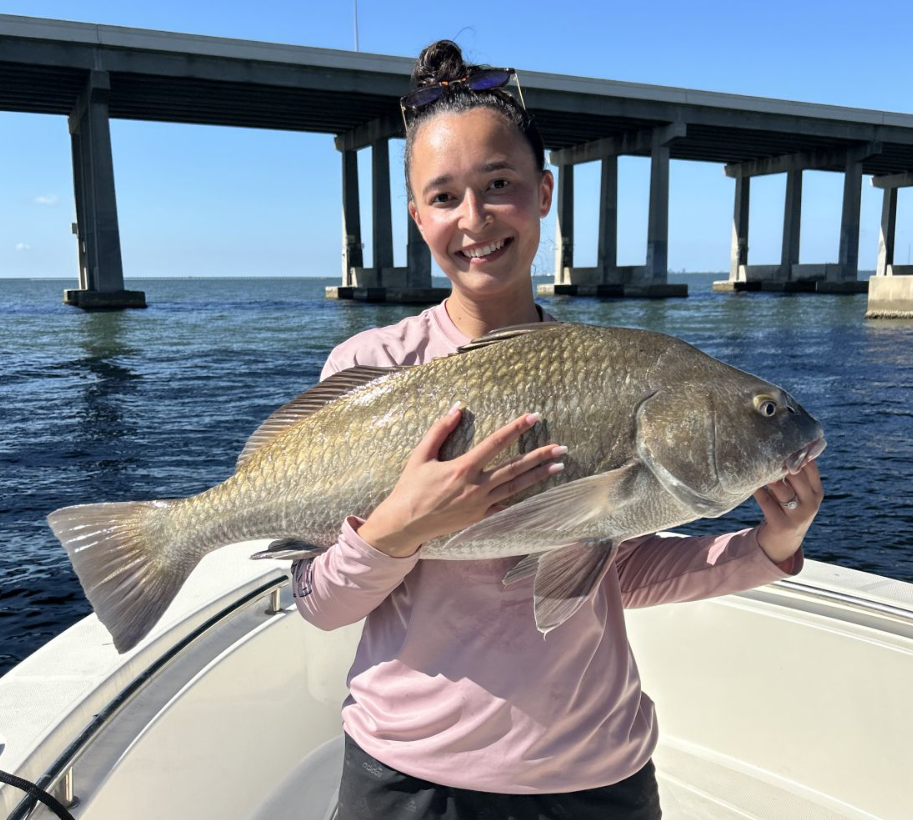 Angler with a large black drum fish in Florida