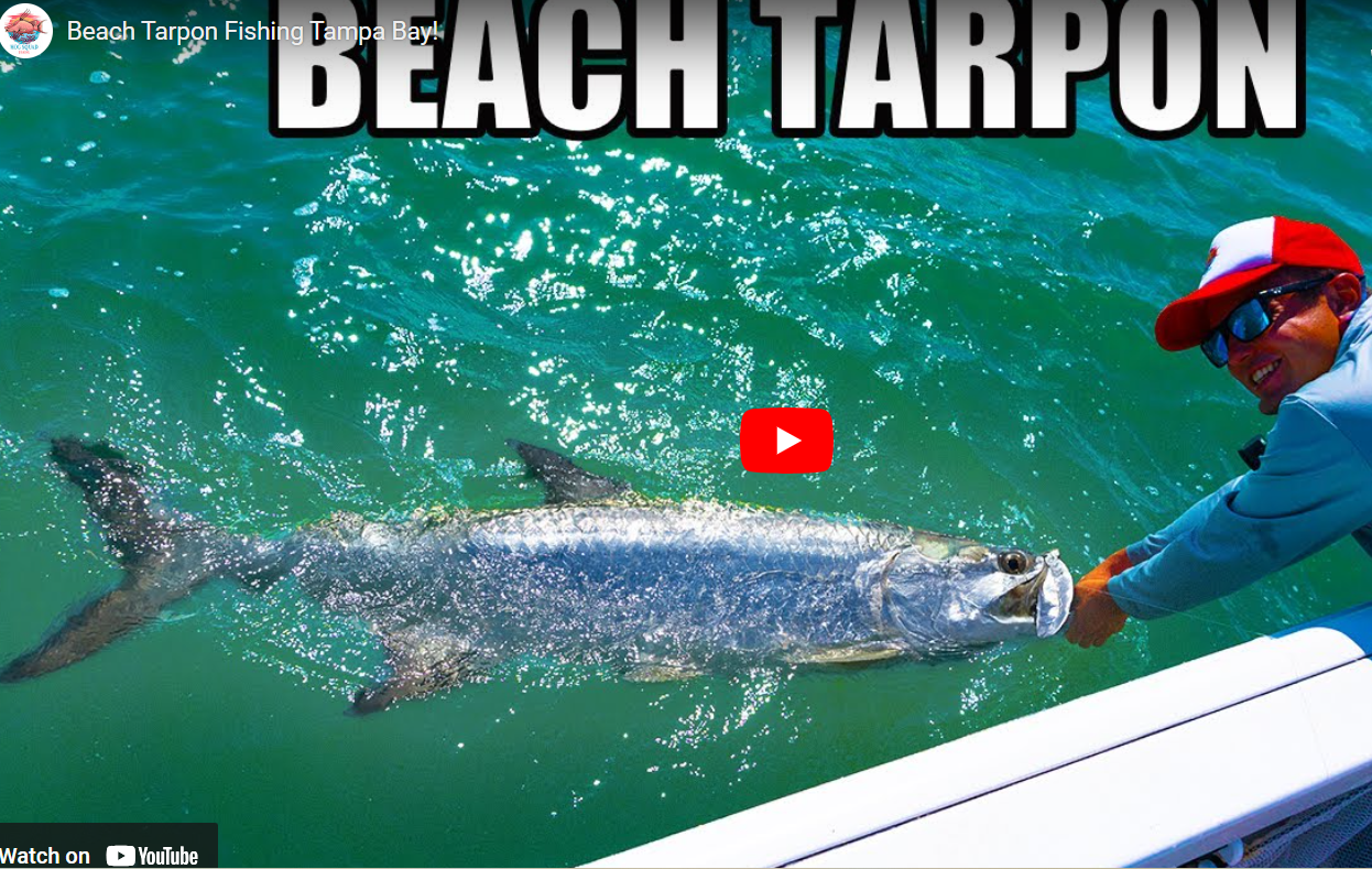 Fishing adventure in Clearwater