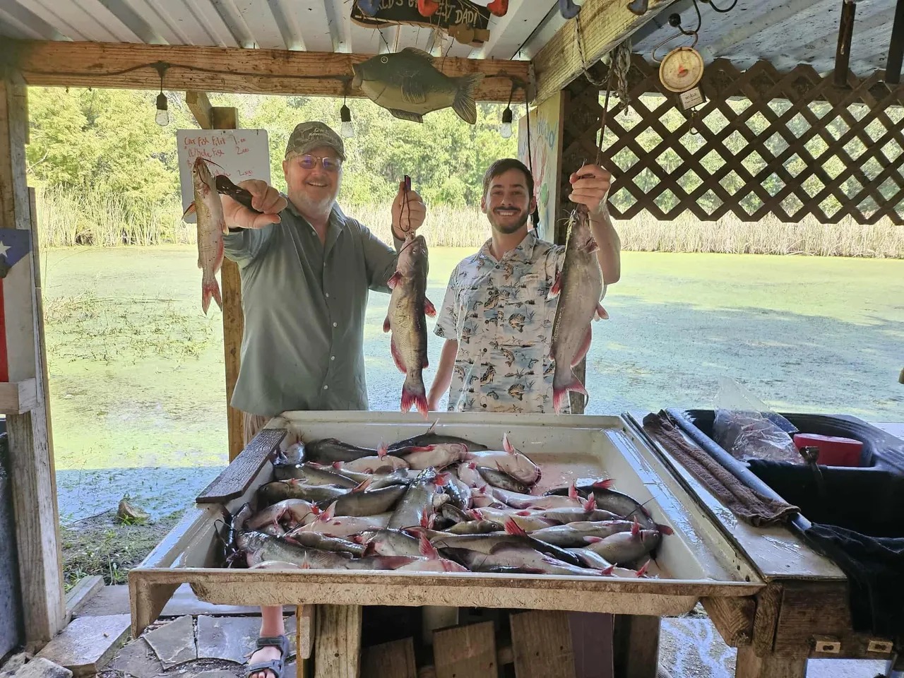 3 blue catfish caught while fishing in TX