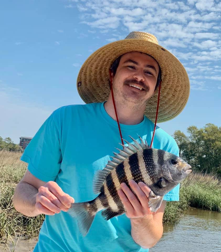 Sheepshead fish caught in Charleston