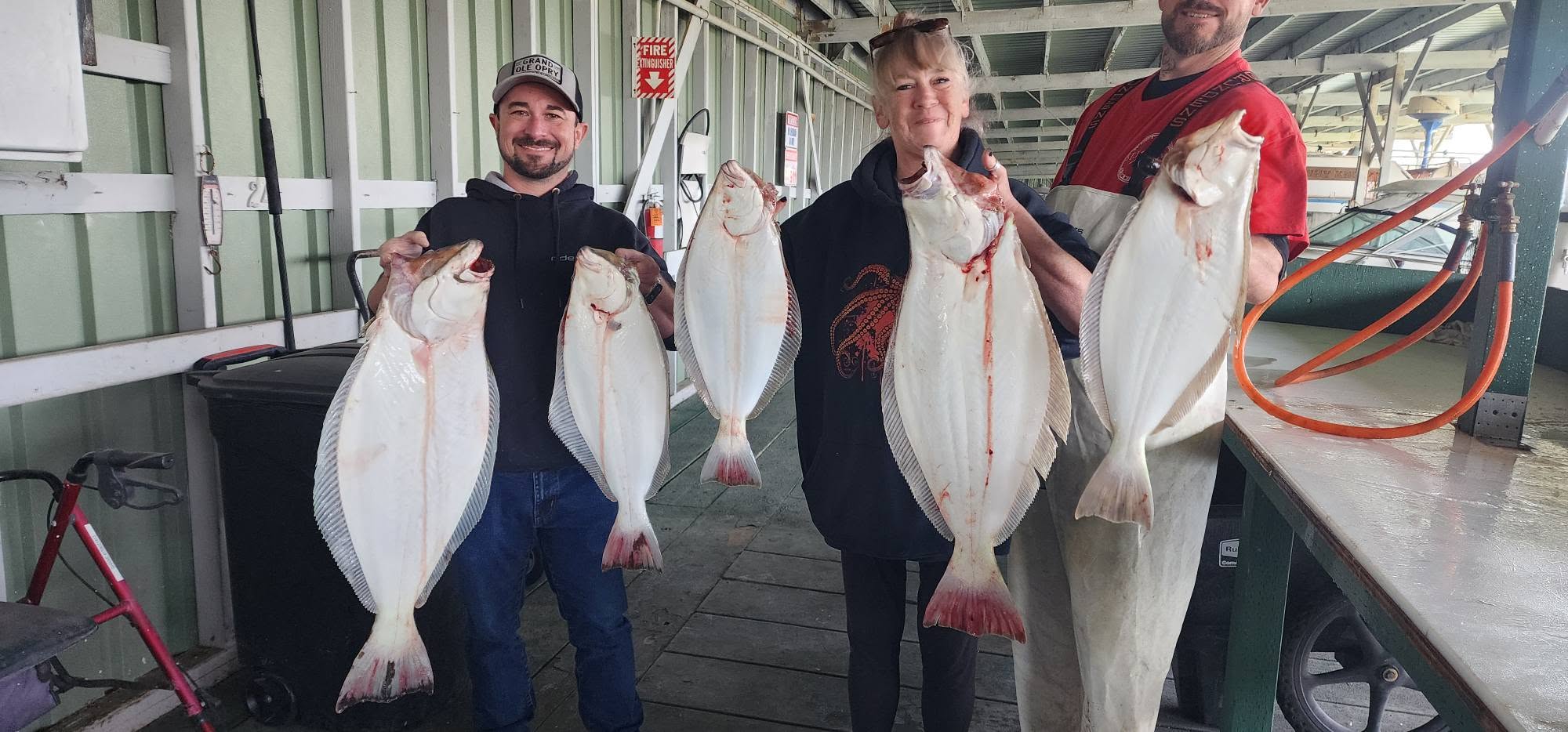 California flounder fishing success at Richmond CA marina with five fresh caught fish displayed