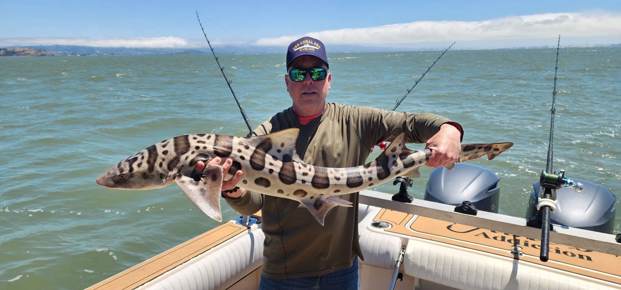 Leopard shark caught fishing in Richmond CA waters