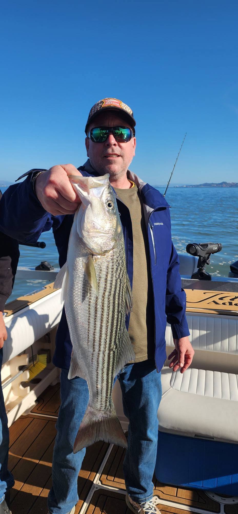 Striped bass caught fishing in Richmond CA on boat deck