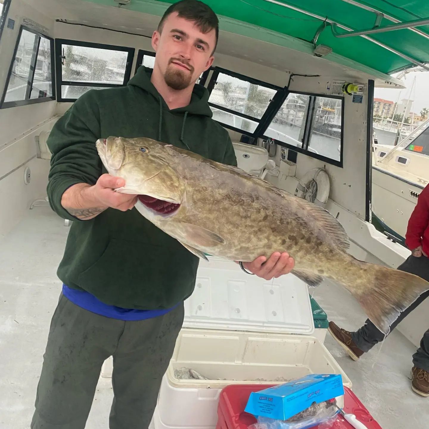 Gag grouper fish caught in Clearwater