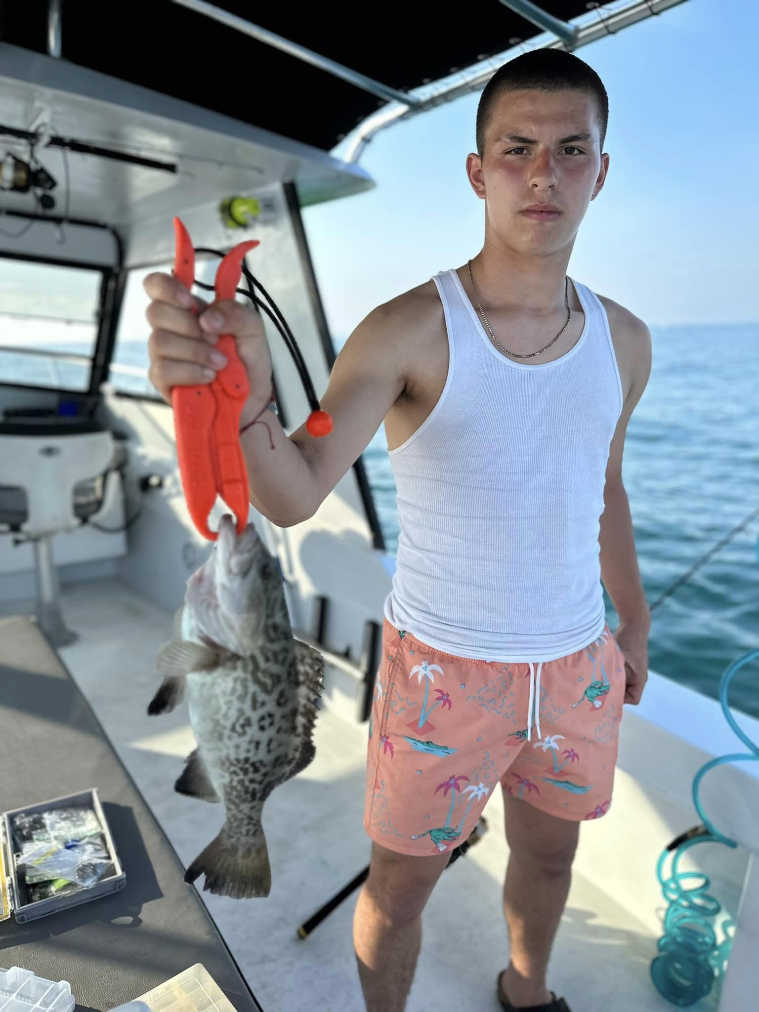 Gag Grouper, a 14-inch fish, caught while fishing in FL.