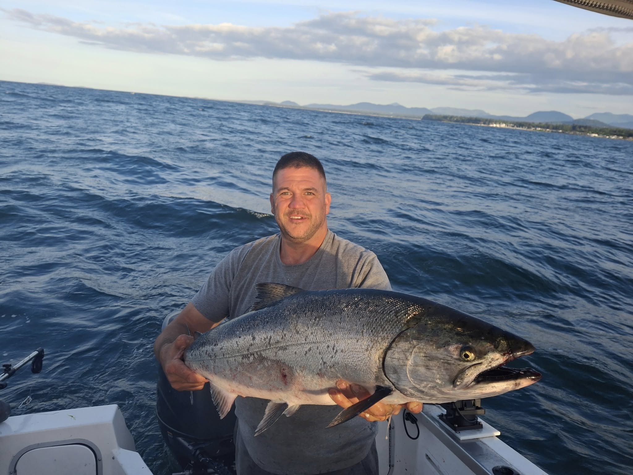 Large Chinook salmon caught while fishing in Nanaimo BC waters