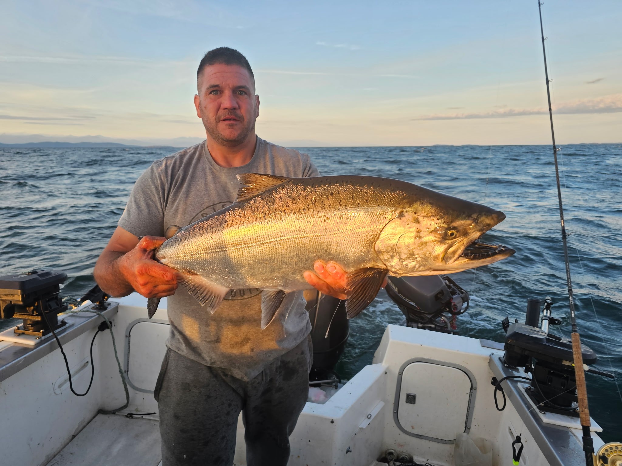 Chinook salmon catch displayed on fishing boat in Nanaimo BC waters