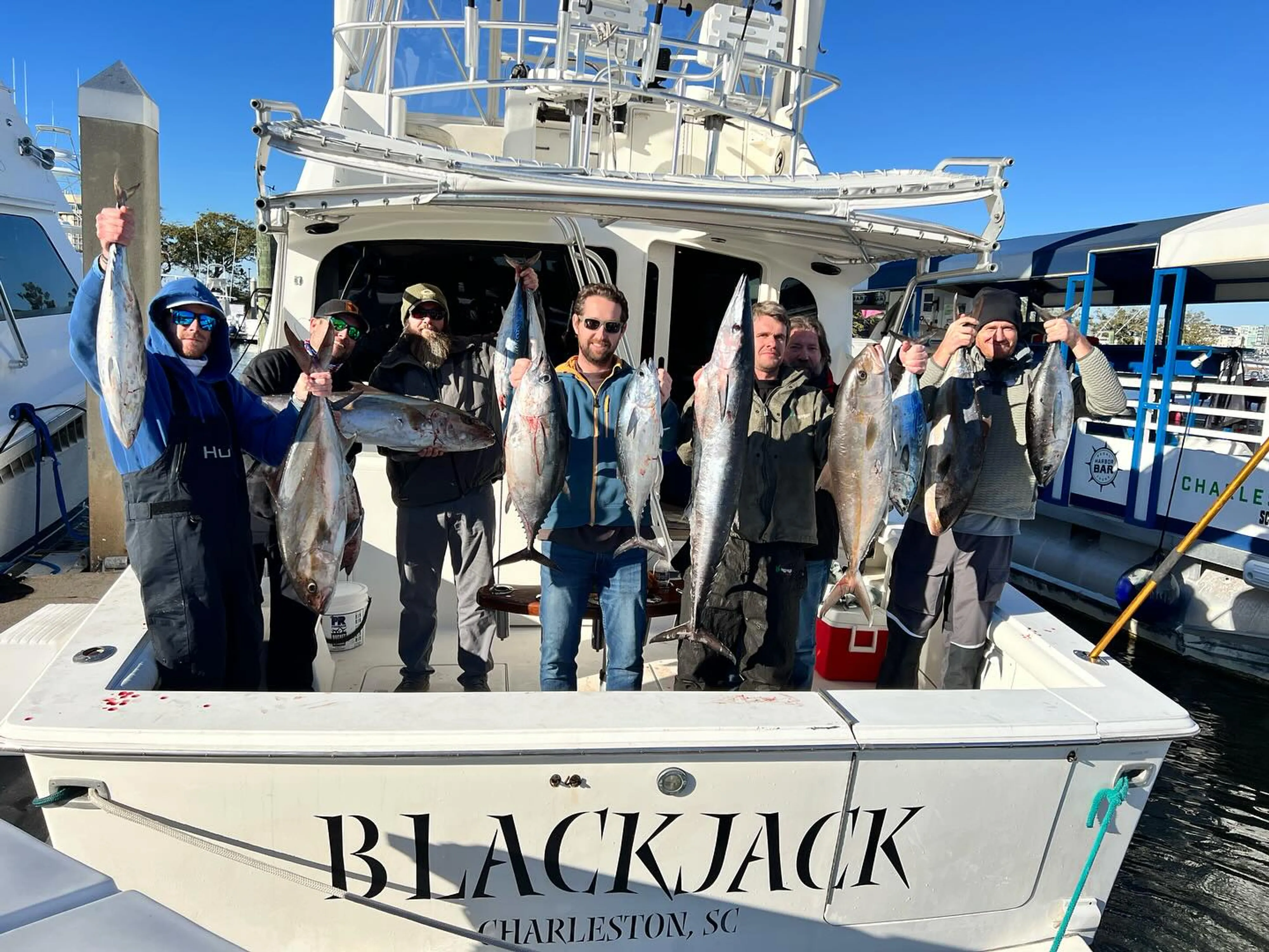 7 Blackfin Tuna, Little Tunny, and Blackfin Tuna caught on a cruises, fishing trip in Charleston