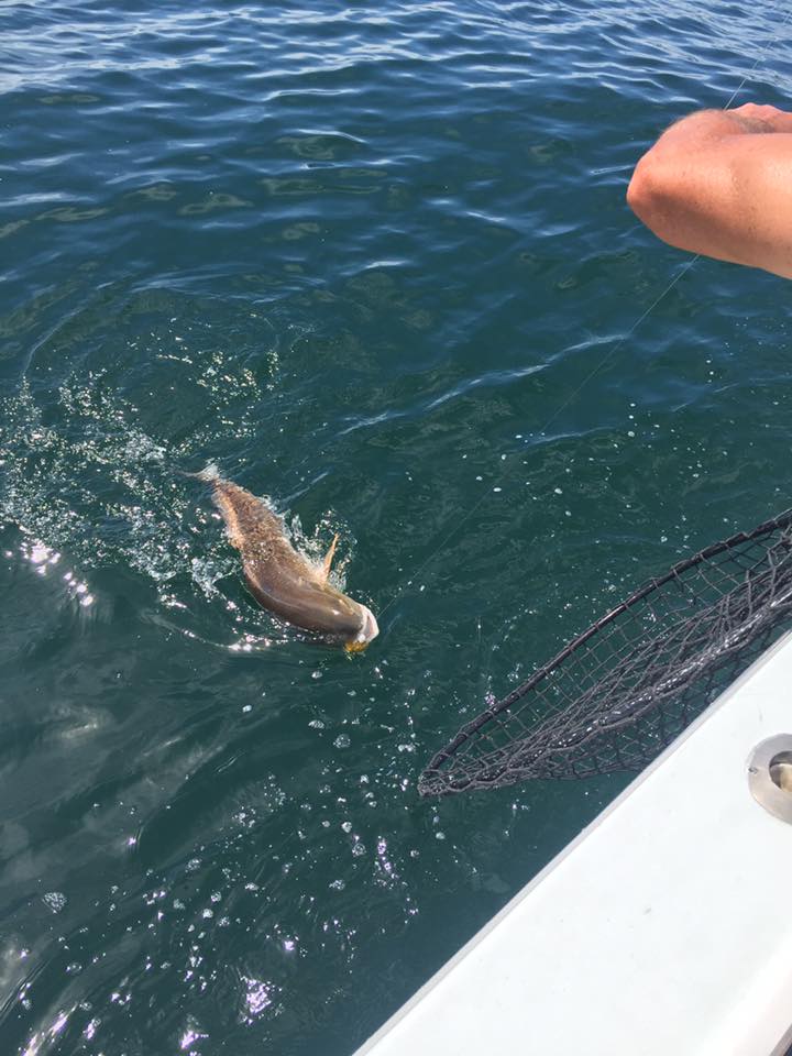 Great fishing trip in NC