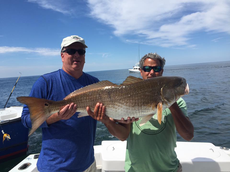 A fisherman holds a large redfish in North Carolina
