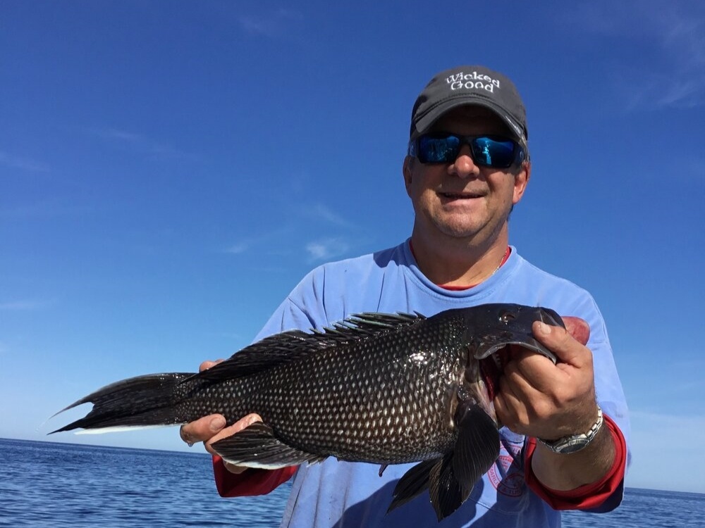 Photograph of a Sea Bass caught at the Beach Haven beach