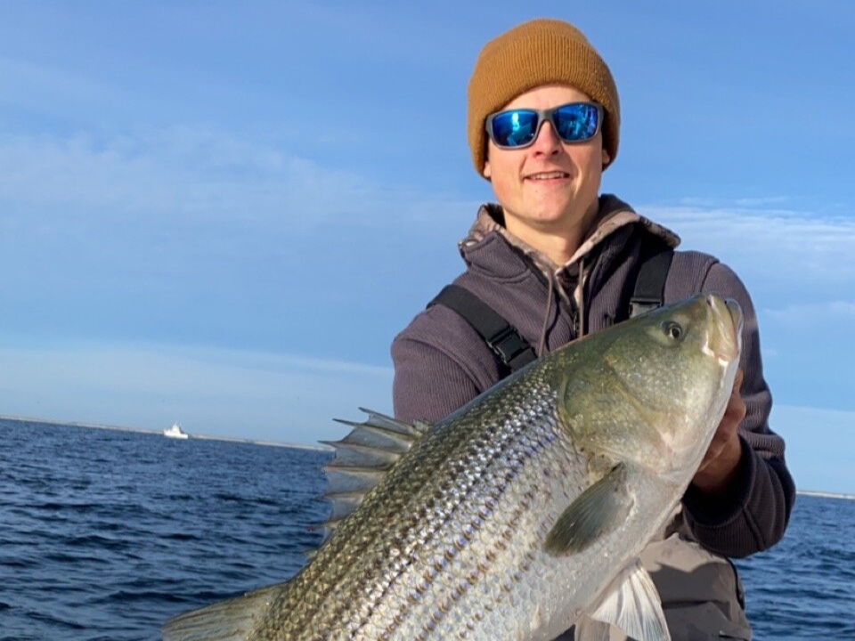 Striped bass caught at the beach in Beach Haven