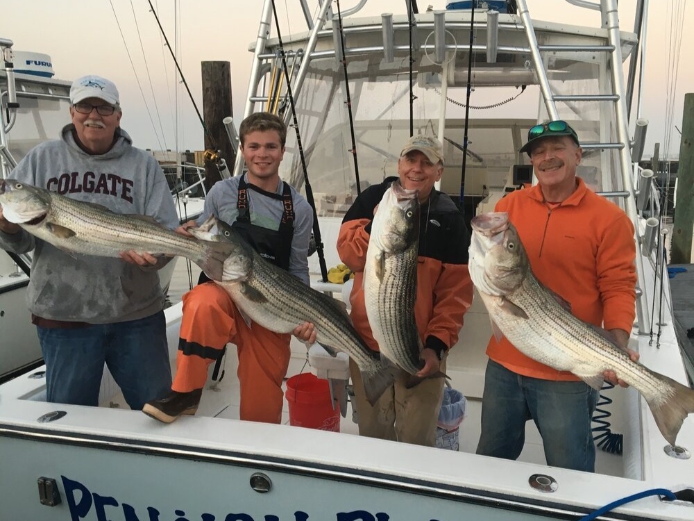 4 striped bass caught in New Jersey