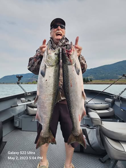 Two large Chinook salmon caught fishing in Kennewick WA displayed on boat deck