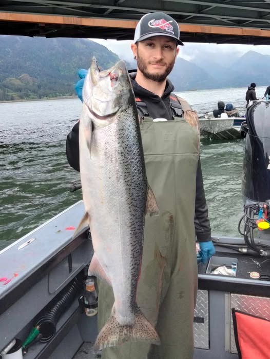 Large Chinook salmon caught fishing in Kennewick WA displayed on boat