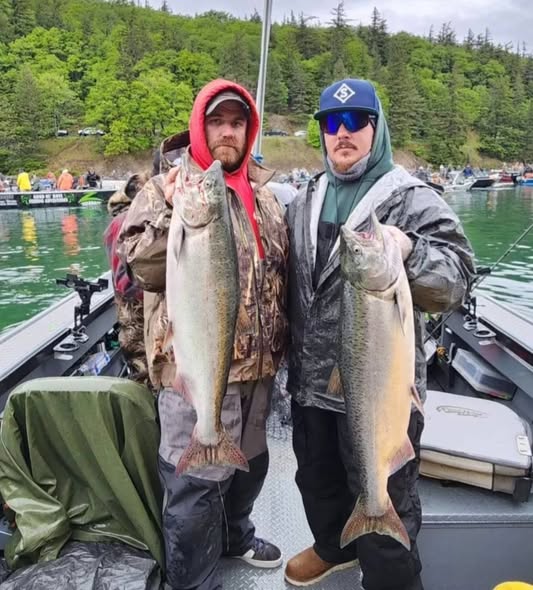 Two large Chinook salmon caught fishing in Kennewick WA on boat