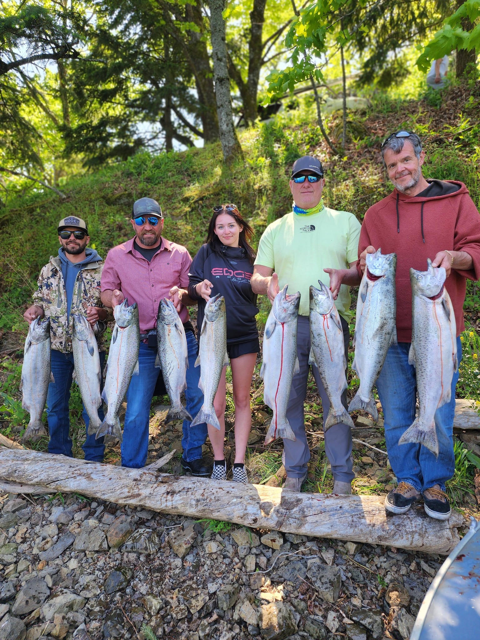 Group of anglers displaying their salmon catch in Kennewick WA including Chinook, Coho, and Pink salmon