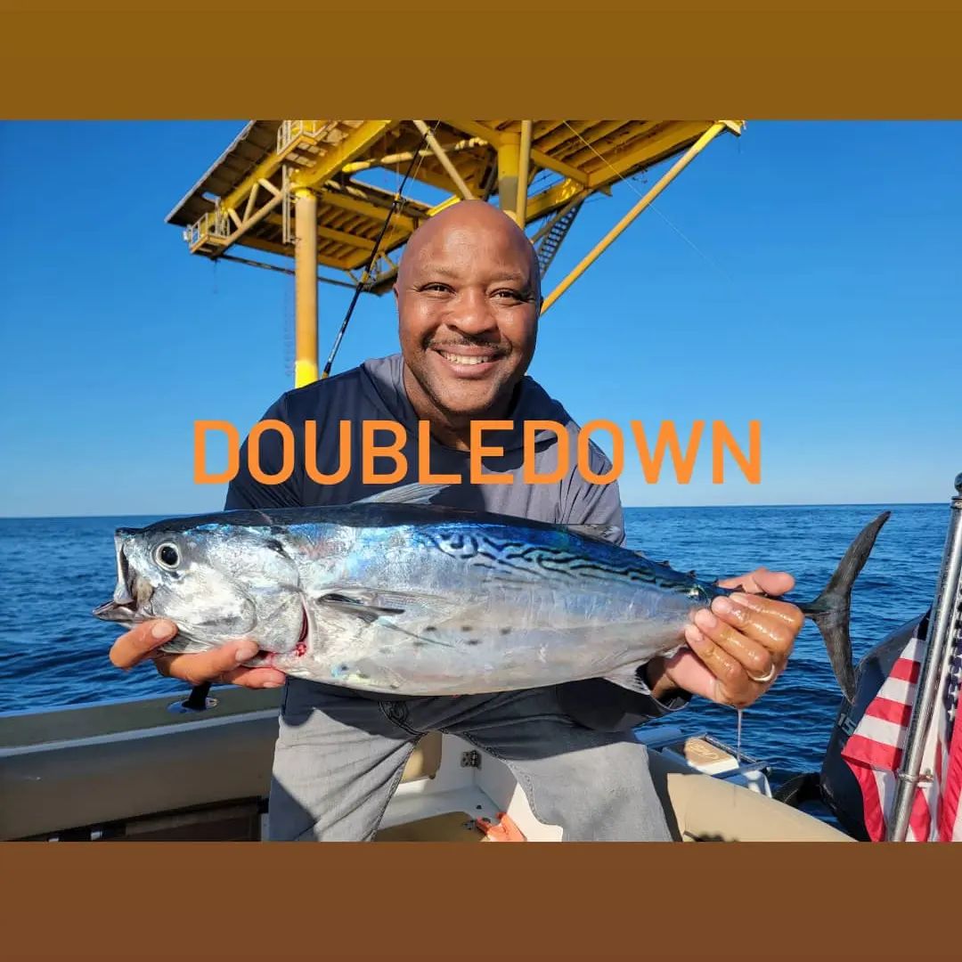 Photo of a little tunny fish caught by one person in GA