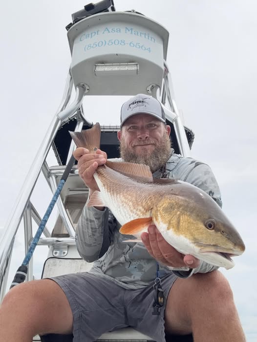 Redfish caught while fishing in St Marks FL