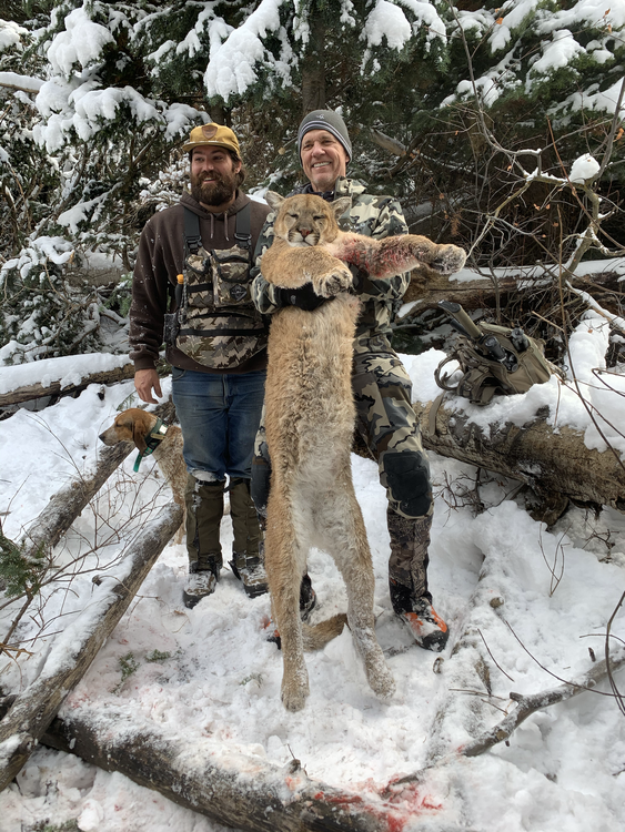 Large fish caught while hunting in Craig