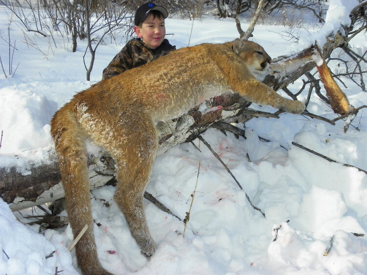 Successful hunting trip in CO