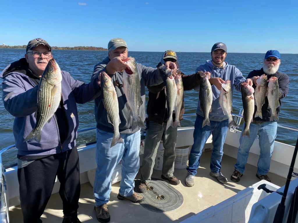 7 striped bass caught in MD