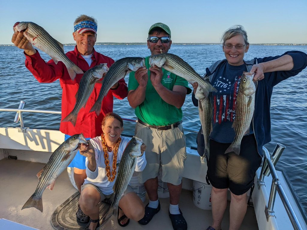 7 striped bass caught while fishing in MD