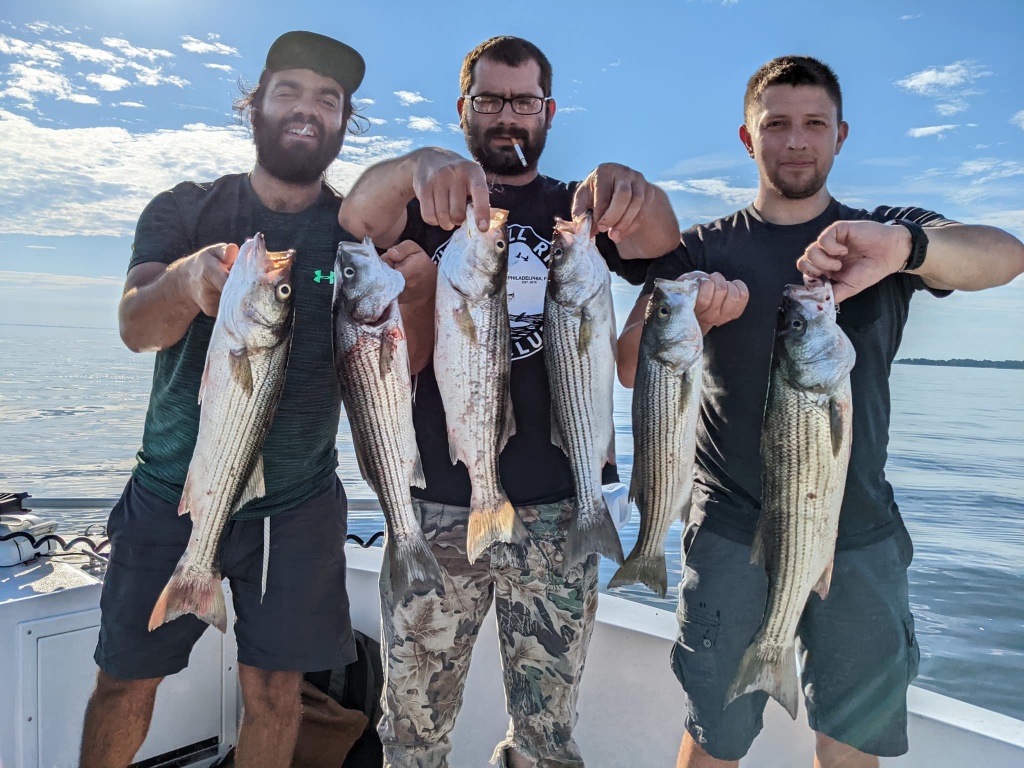Six striped bass caught during fishing trip in Havre De Grace