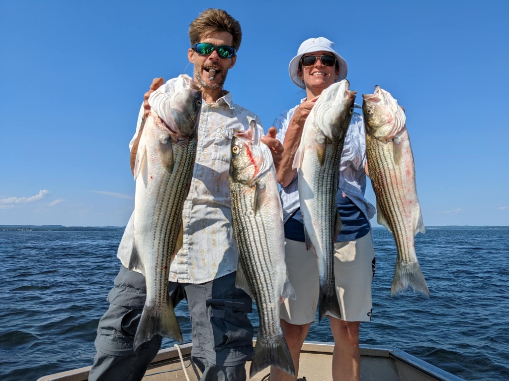 4 striped bass caught while fishing in MD