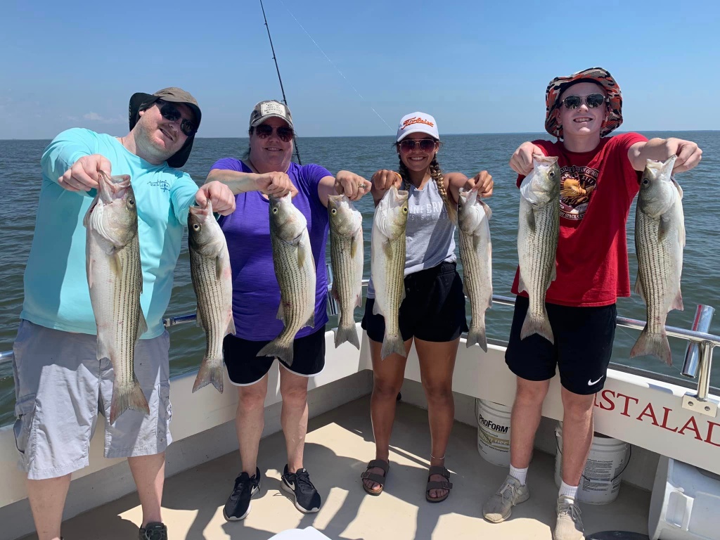 7 striped bass caught during fishing trip in Havre De Grace
