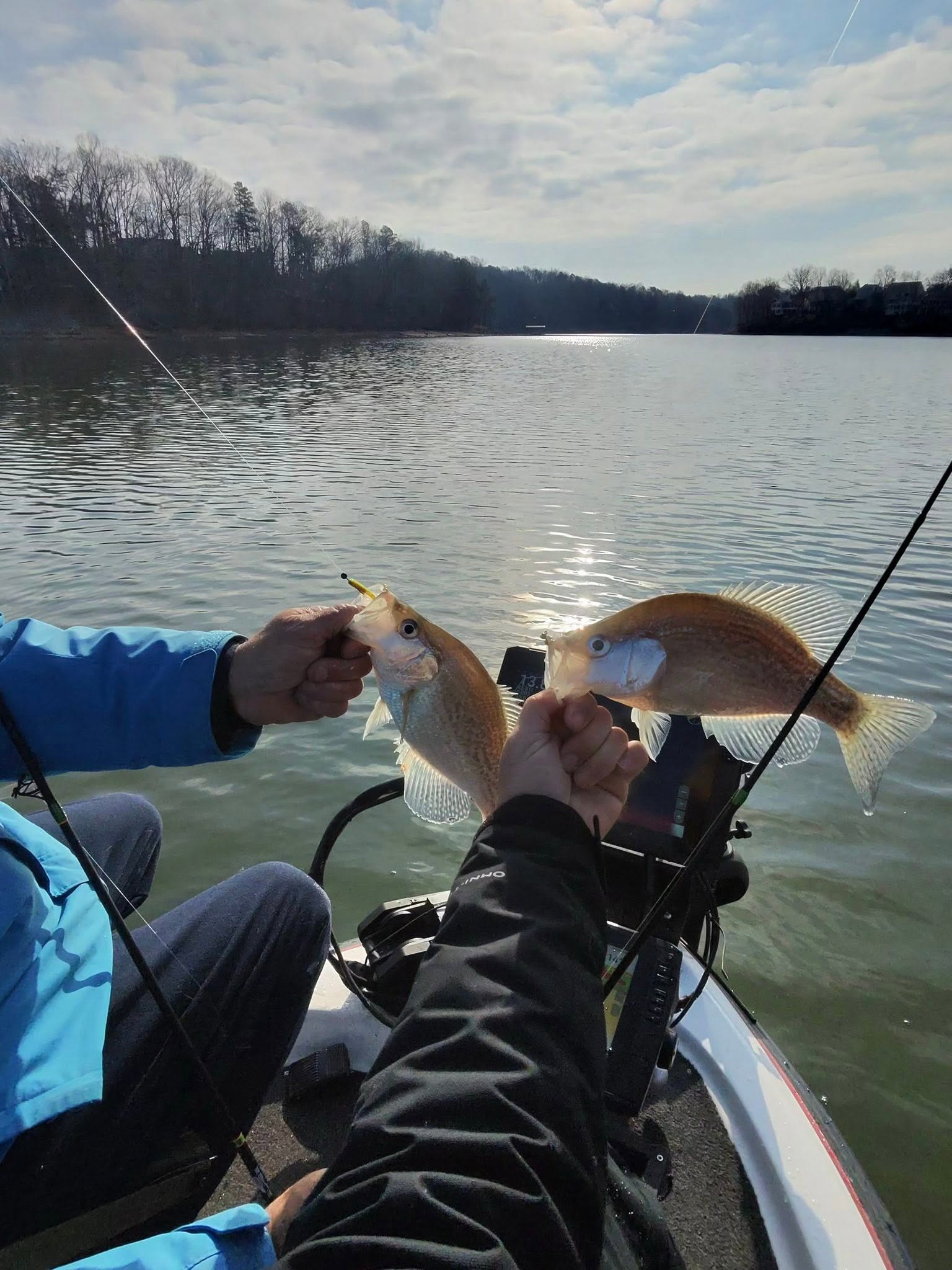 Two freshly caught crappie being held up on a fishing boat in Cumming GA lake