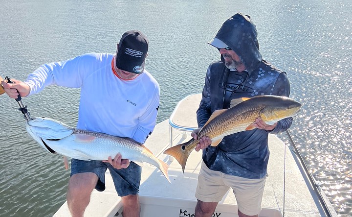 Two fish caught while fishing in FL